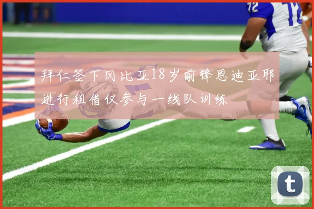 拜仁签下冈比亚18岁前锋恩迪亚耶进行租借仅参与一线队训练