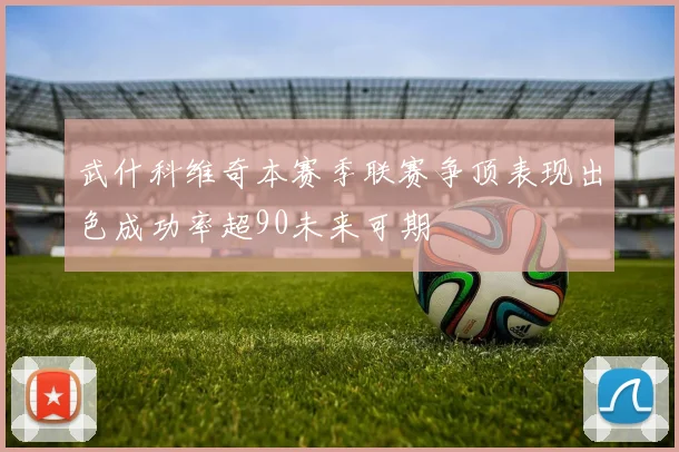 武什科维奇本赛季联赛争顶表现出色成功率超90未来可期