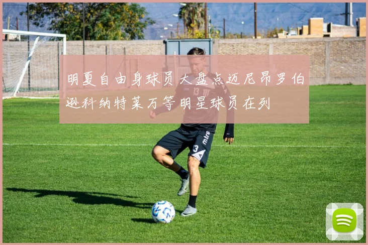 明夏自由身球员大盘点迈尼昂罗伯逊科纳特莱万等明星球员在列