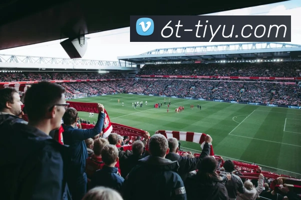 6t体育平台生态图