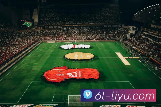 6t体育APP 封面图